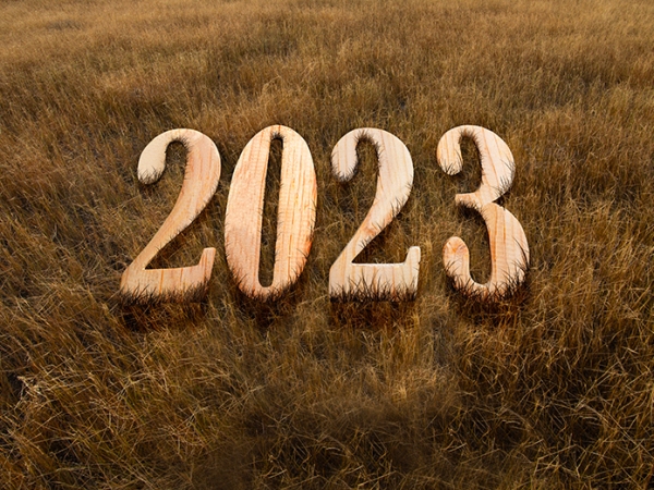 Bonne année 2023