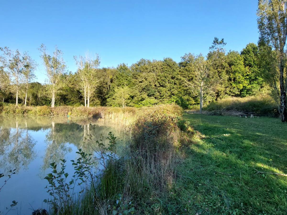 Nettoyage de la frayère de l&rsquo;étang M.&nbsp;Polisset