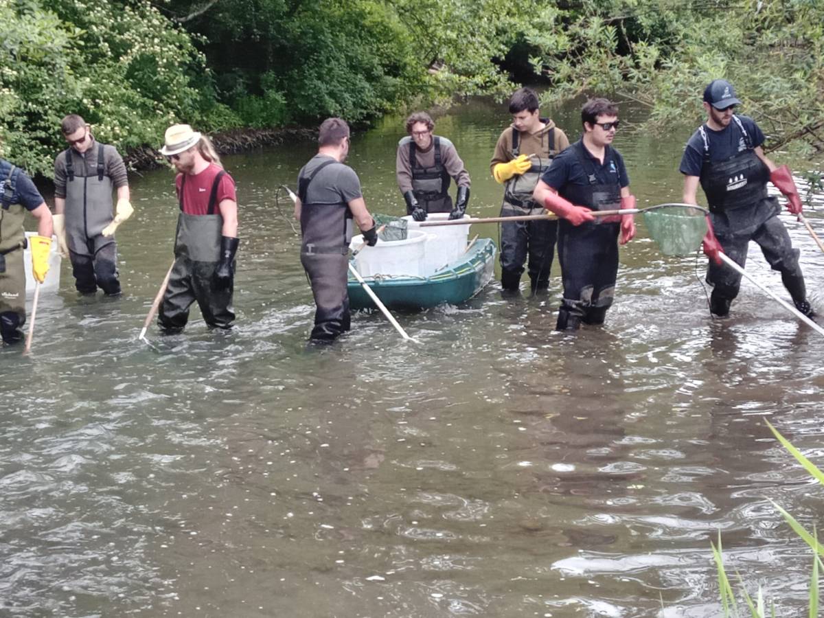 Des pêches électriques &laquo;&nbsp;scientifiques&nbsp;&raquo; pour recenser la population des cours&nbsp;d&rsquo;eau.