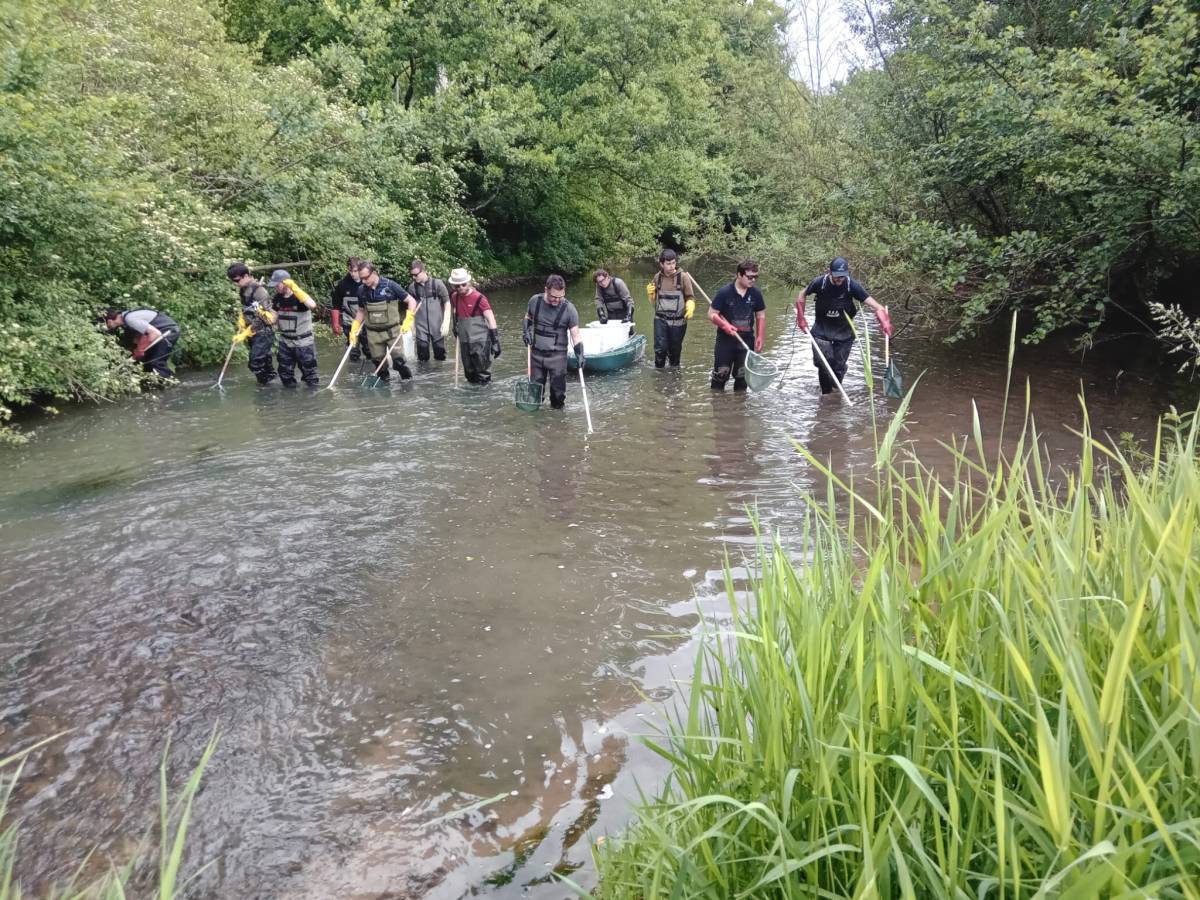 Pêche électrique sur le Loing à&nbsp;Montbouy