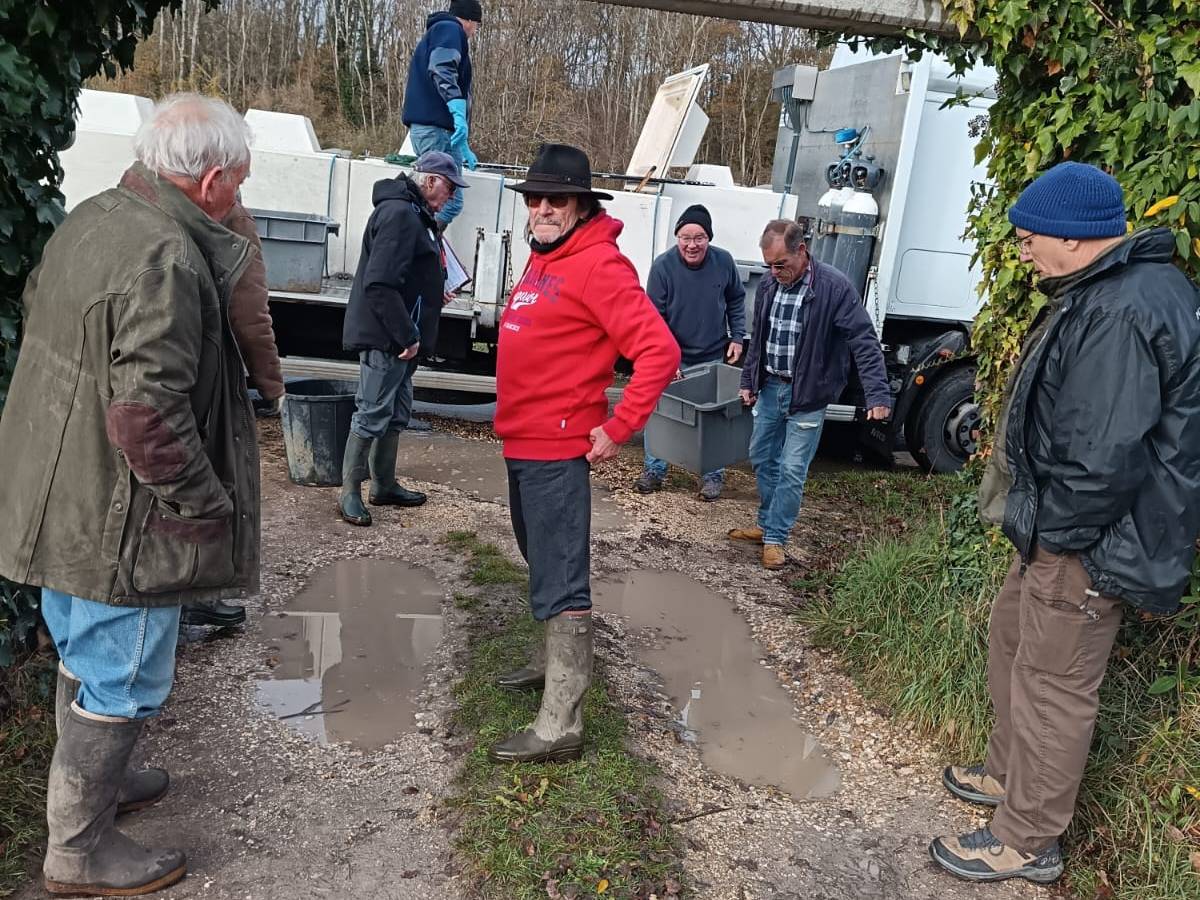 Repeuplement piscicole 2025.